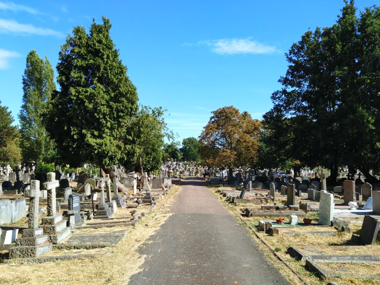 Sony Xperia 10 IV camera sample image