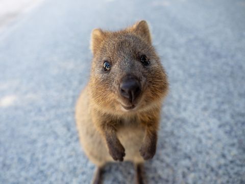 A new Australian supercomputer has already delivered a stunning ...