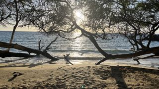 photo of Waialea Beach shot by an iphone 13