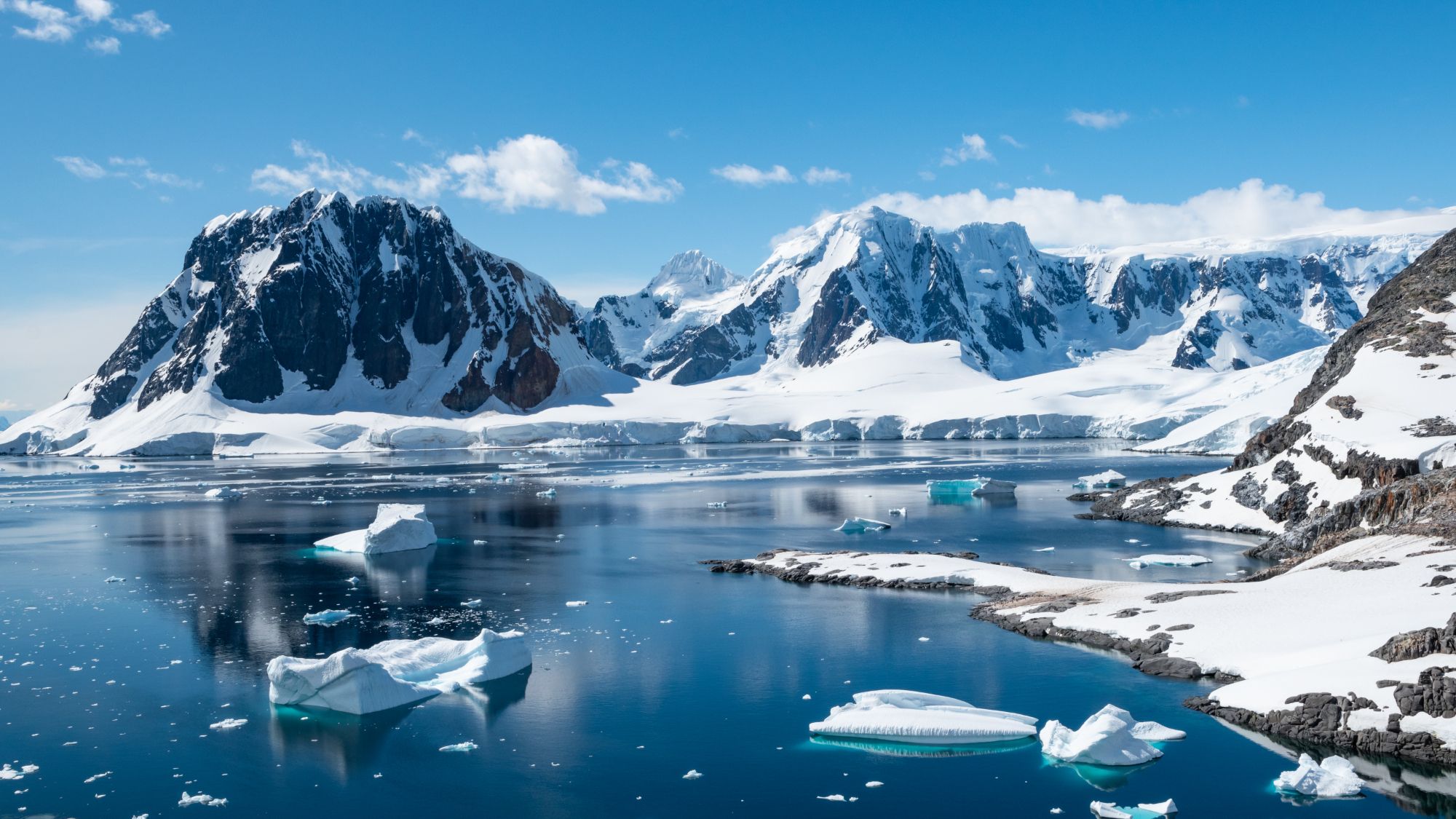Undersea cable to Antarctica through Drake Passage is viable, researchers find — 1,600km route to Chile could…