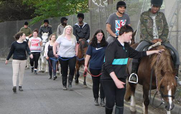 Save West London Stables 1