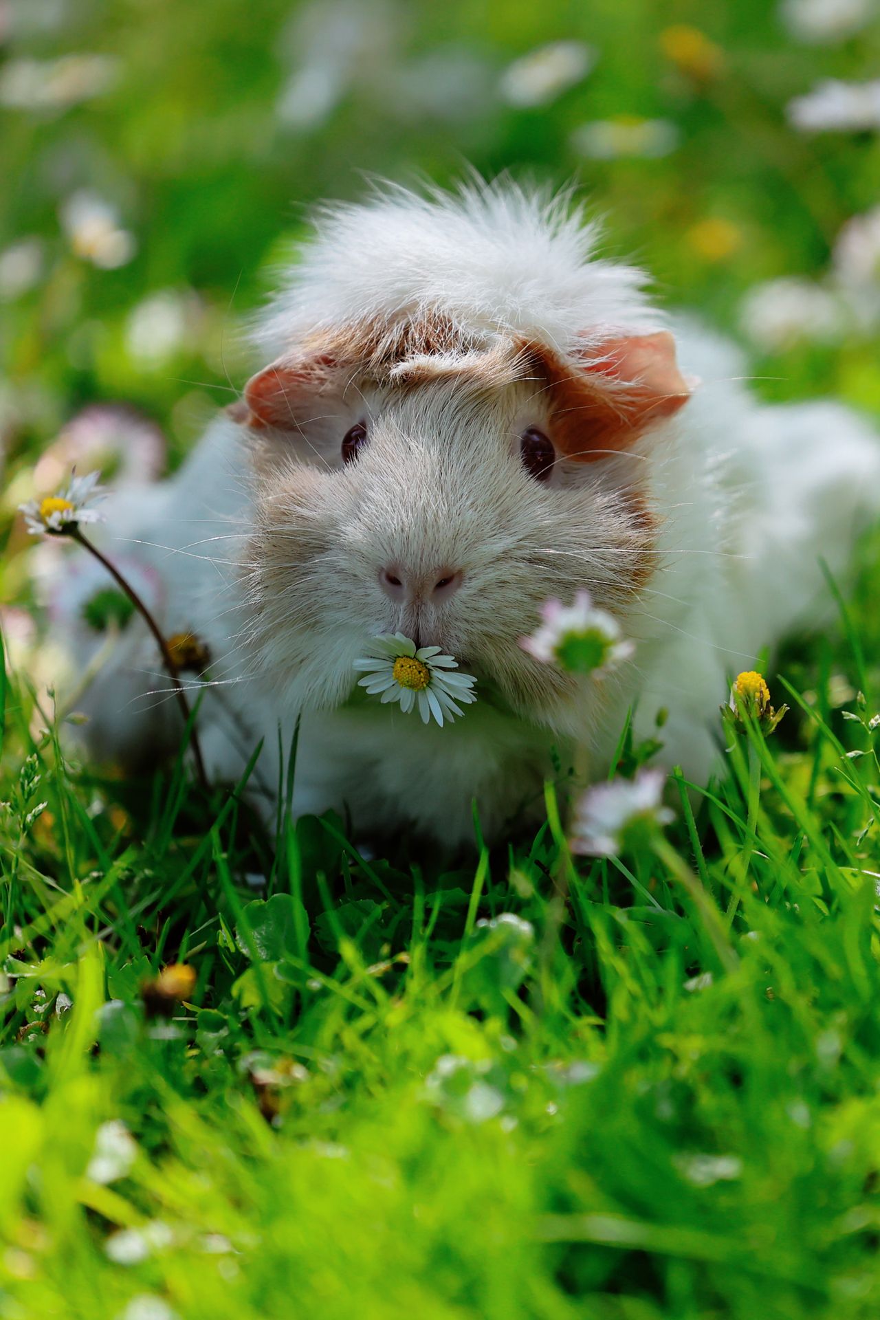 Winning or shortlised image for the The Week Junior Science+Nature Scavenger Hunt contest