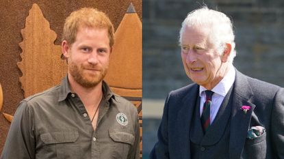 Prince Harry makes solo trip to Rwanda after Prince Charles 