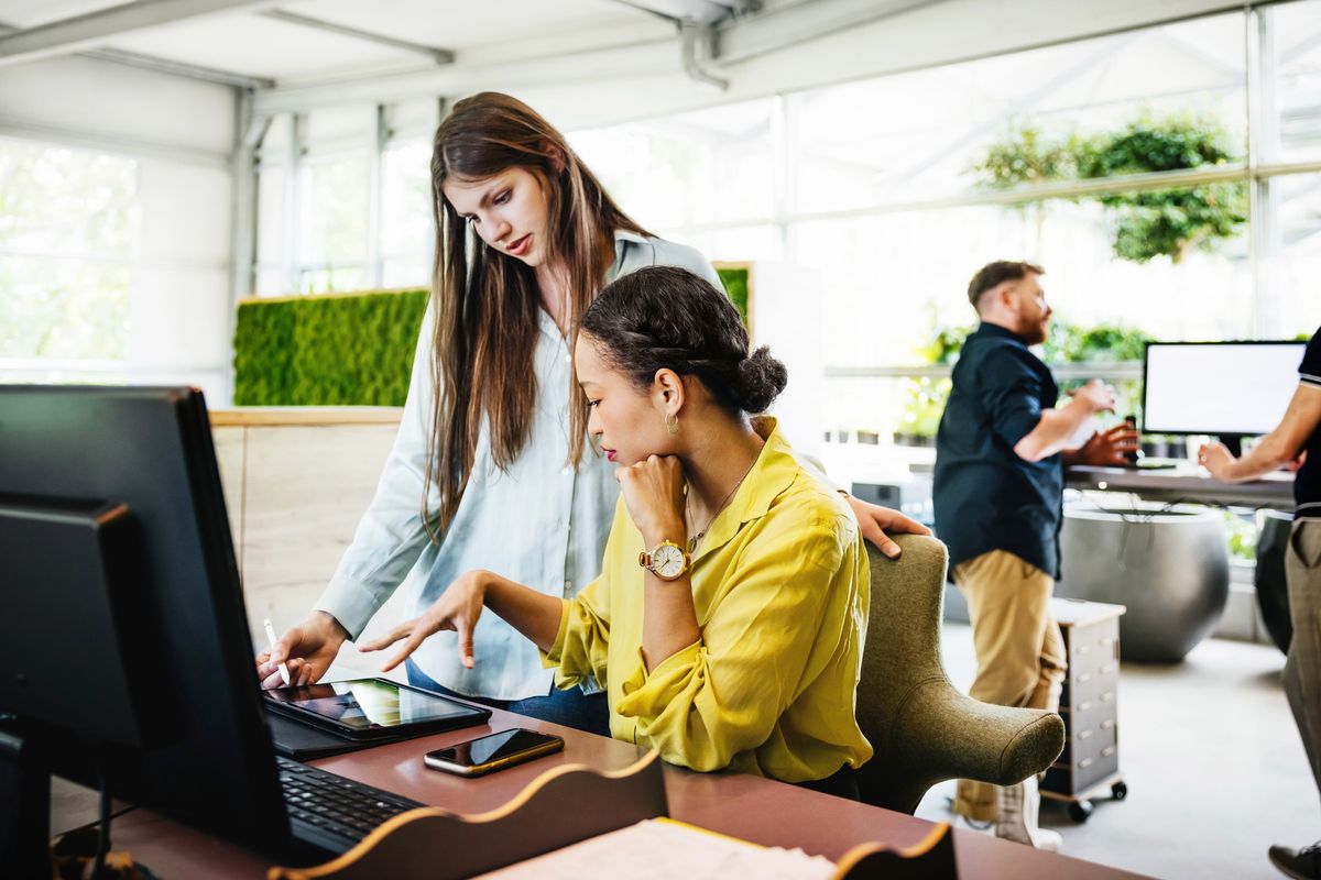 A modern office space with a variety of plants on display and some employees working together at computer desks