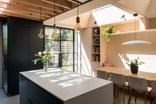 crittall-style doors in a modern kitchen extension
