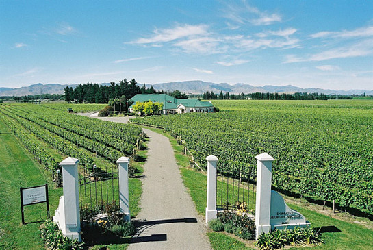 Domaine Georges New Zealand