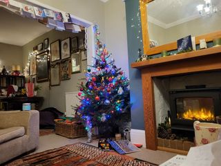 Samsung Galaxy S21 FE camera sample