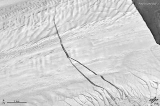 A massive crack in Pine Island Glacier is steadily growing, as seen in a Sept. 14, 2012, satellite image.