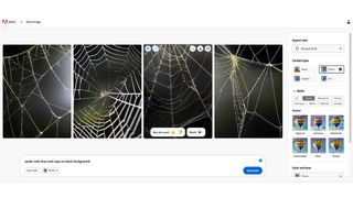 Create a Procreate brush in Adobe Firefly; a mix of spider web images rendered in Ai