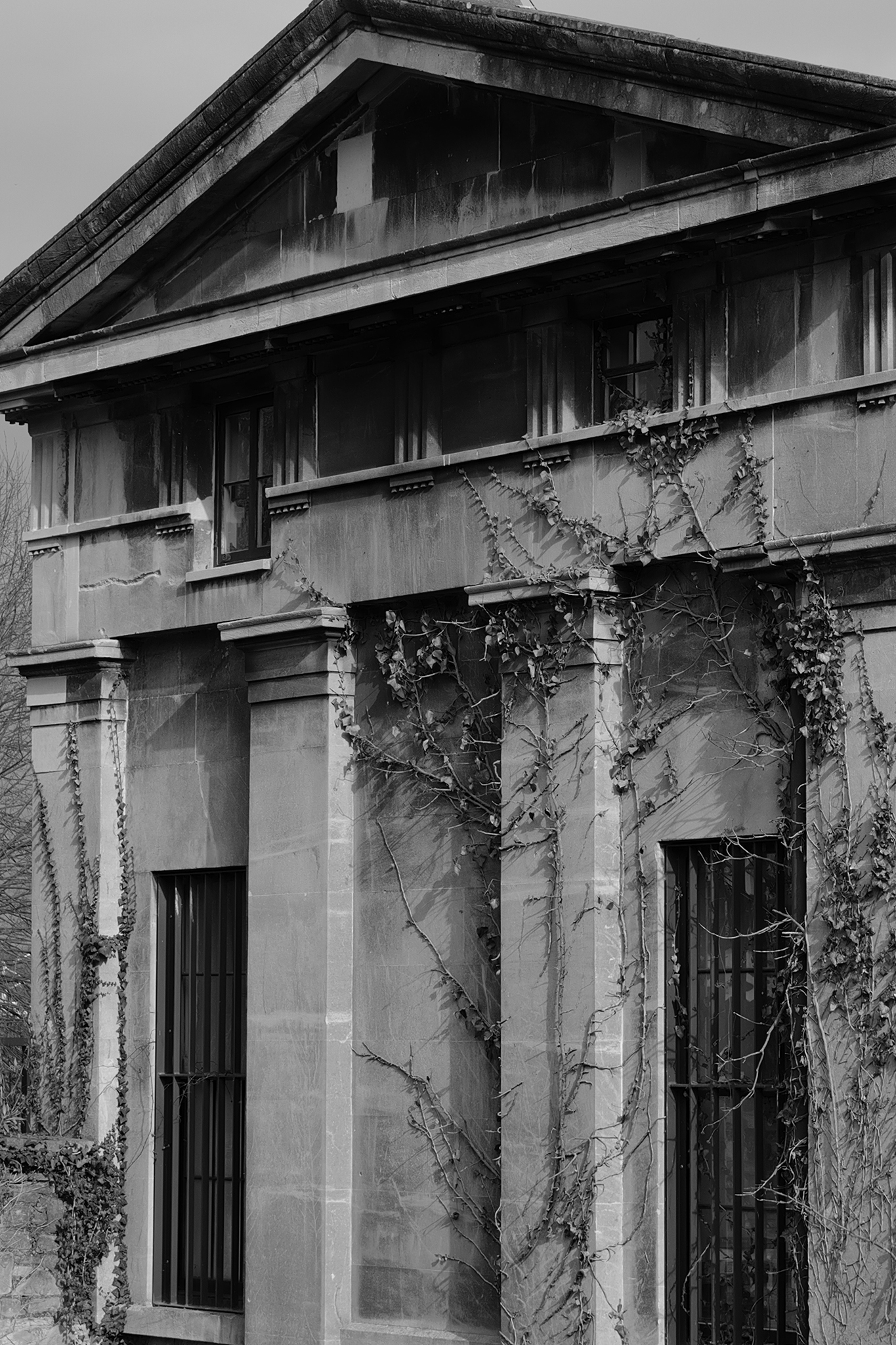 Leica Q3 Monochrom vs Leica Leitzphone comparison