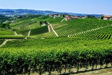 rabaja, barbaresco, piedmont