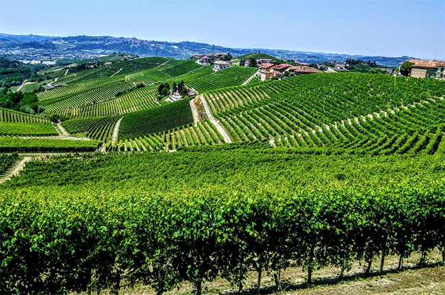 rabaja, barbaresco, piedmont