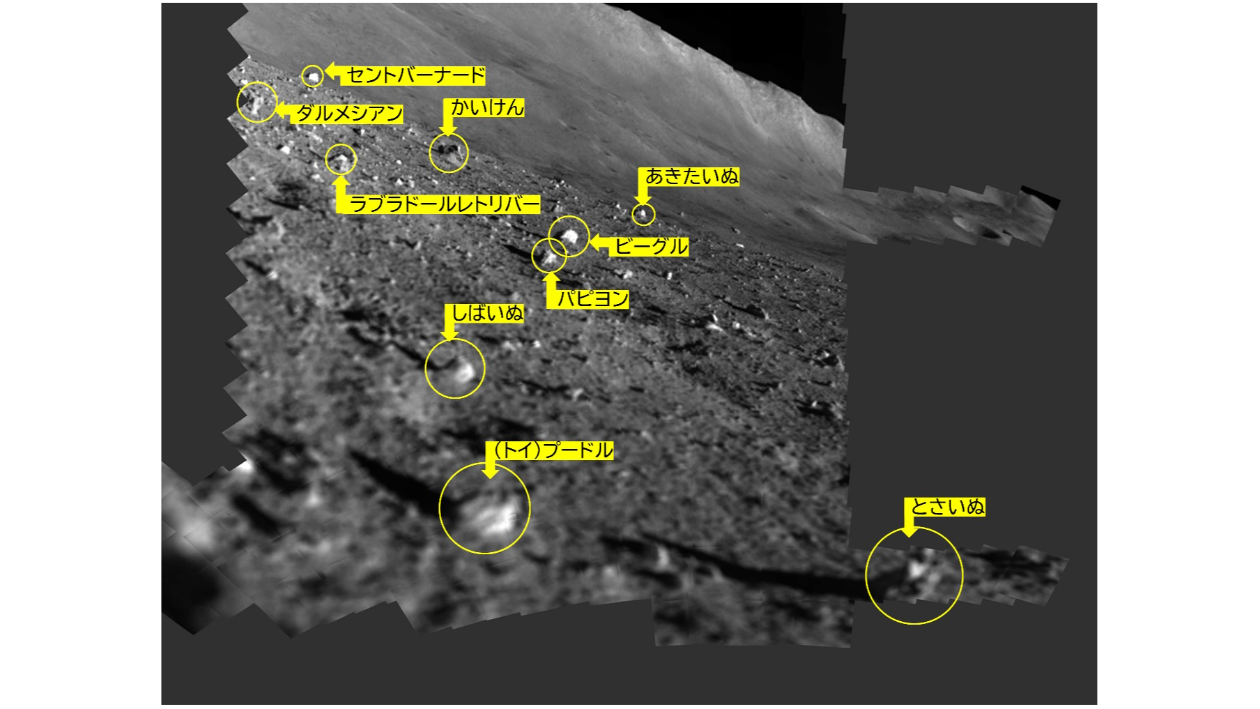 Image of the lunar surface captured by a japanese lander, showing gray dirt, small rocks and a hill in the distance. Some of the rocks are circled in yellow.