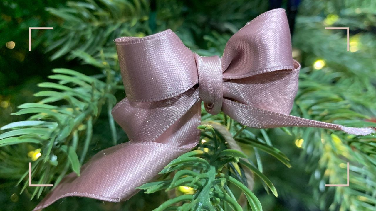 pink ribbon tied into a bow on a Christmas tree branch