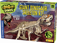 Dinosaur Skeleton Kit