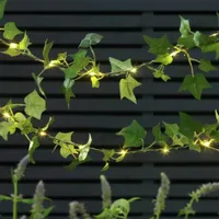Argos Home 20 Ivy Solar String Lights |&nbsp;£15 at Argos