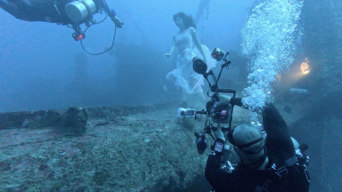 Photographs from an underwater photography shoot by Steve Haining