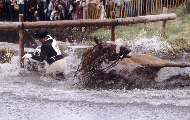 British Royalty. Burghley Horse Trials., England. 1981. Princess