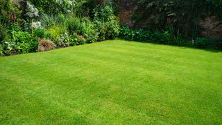 healthy green lawn with flower borders