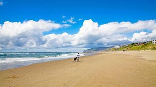 Lincoln City Beach, dog walking