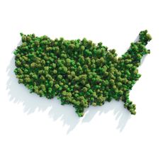 An overhead view of trees shaped like the continental United States