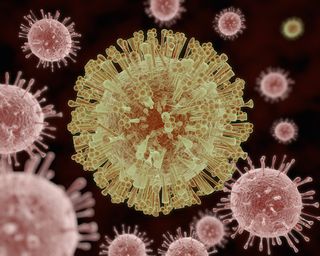 Are viruses, like the Zika virus pictured above, truly alive?