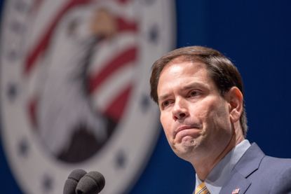 Marco Rubio