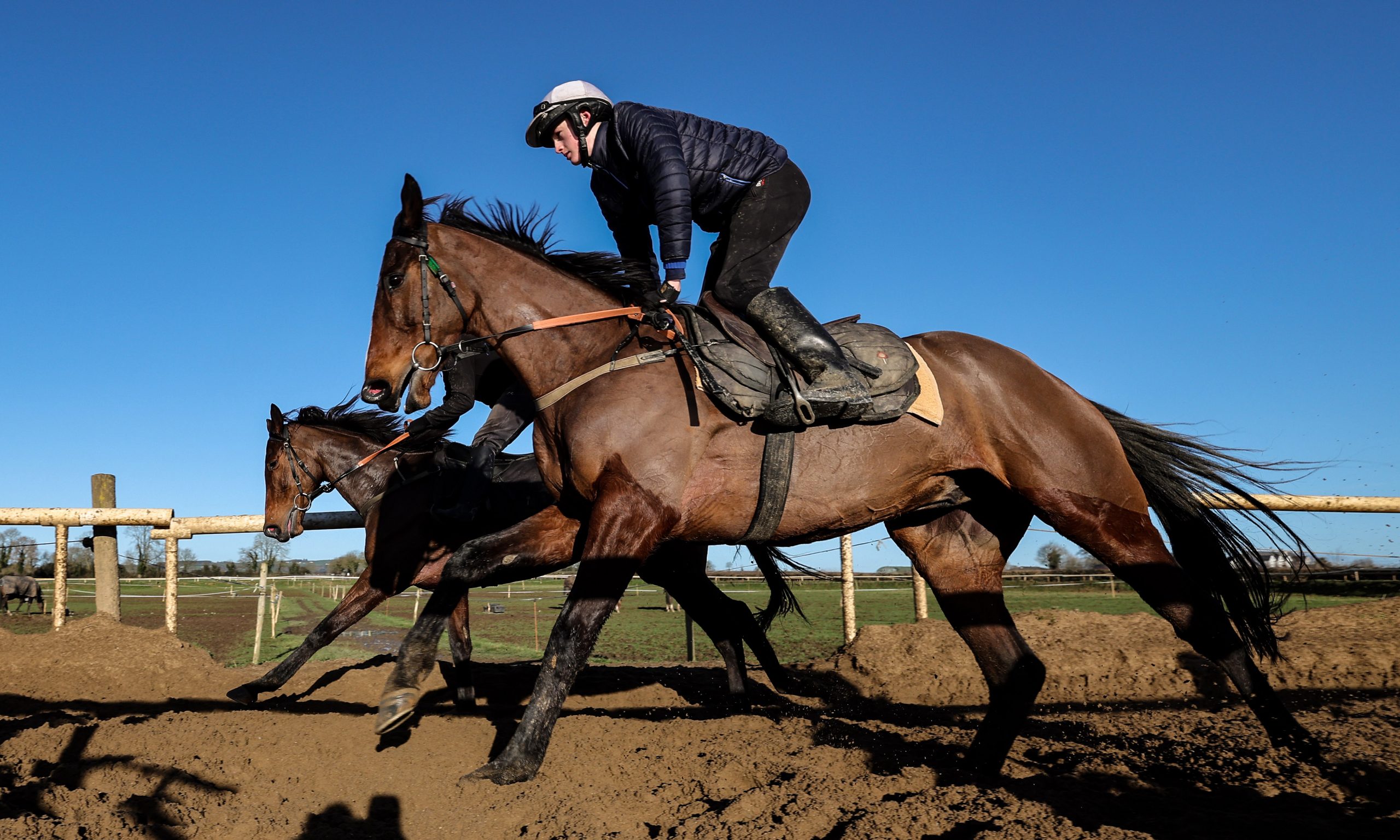 The Shark Hanlon-trained Hewick in action on the gallops at home under 16-year-old Paddy Hanlon