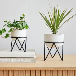 West Elm plant stand