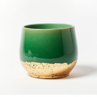 Green plant pot