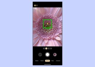 A screenshot showing how to use the Macro Mode on Pixel 7 Pro and Pixel 8 Pro devices