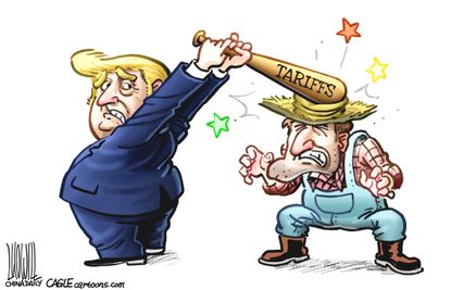 Political cartoon U.S. Trump trade war tariffs farmers