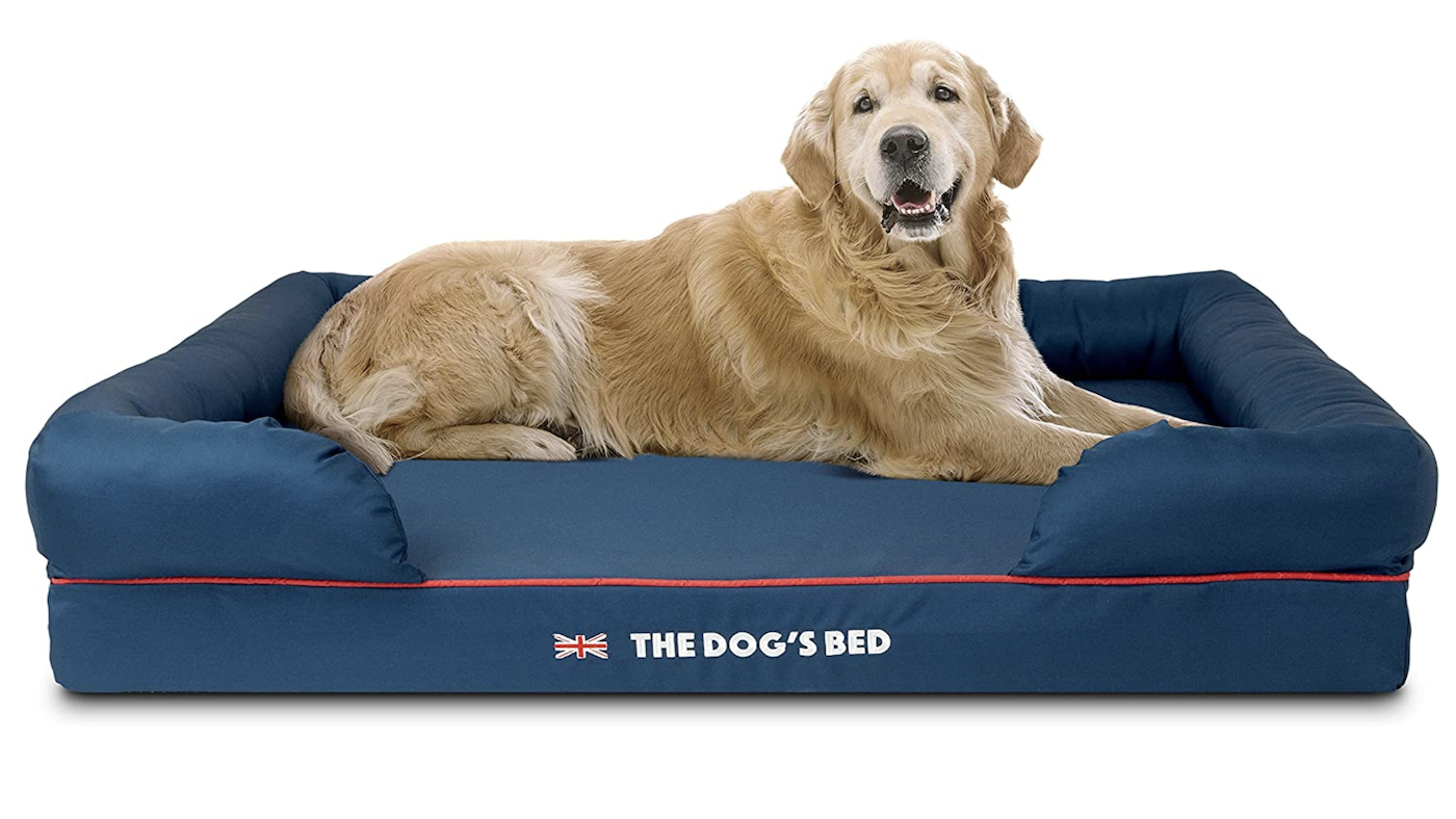 Retreiver on an orthopaedic dog bed