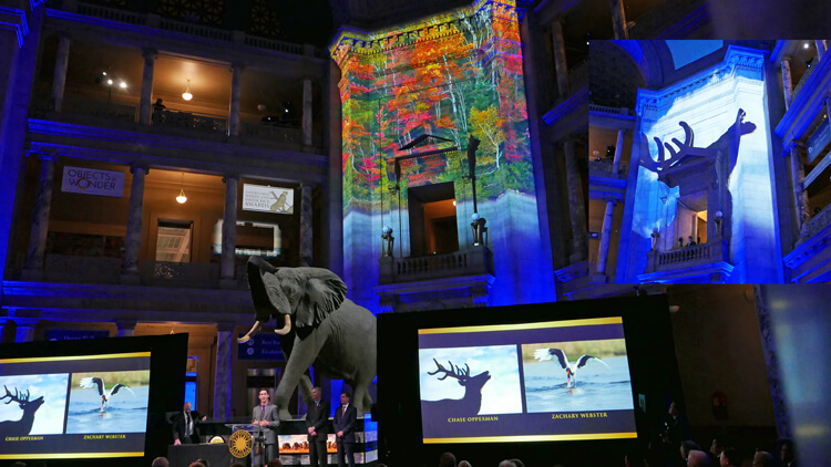 Pixel Curating and Pixel Mapping at the Smithsonian with Epson