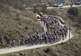 The peloton on stage seven of the 2014 Paris-Nice
