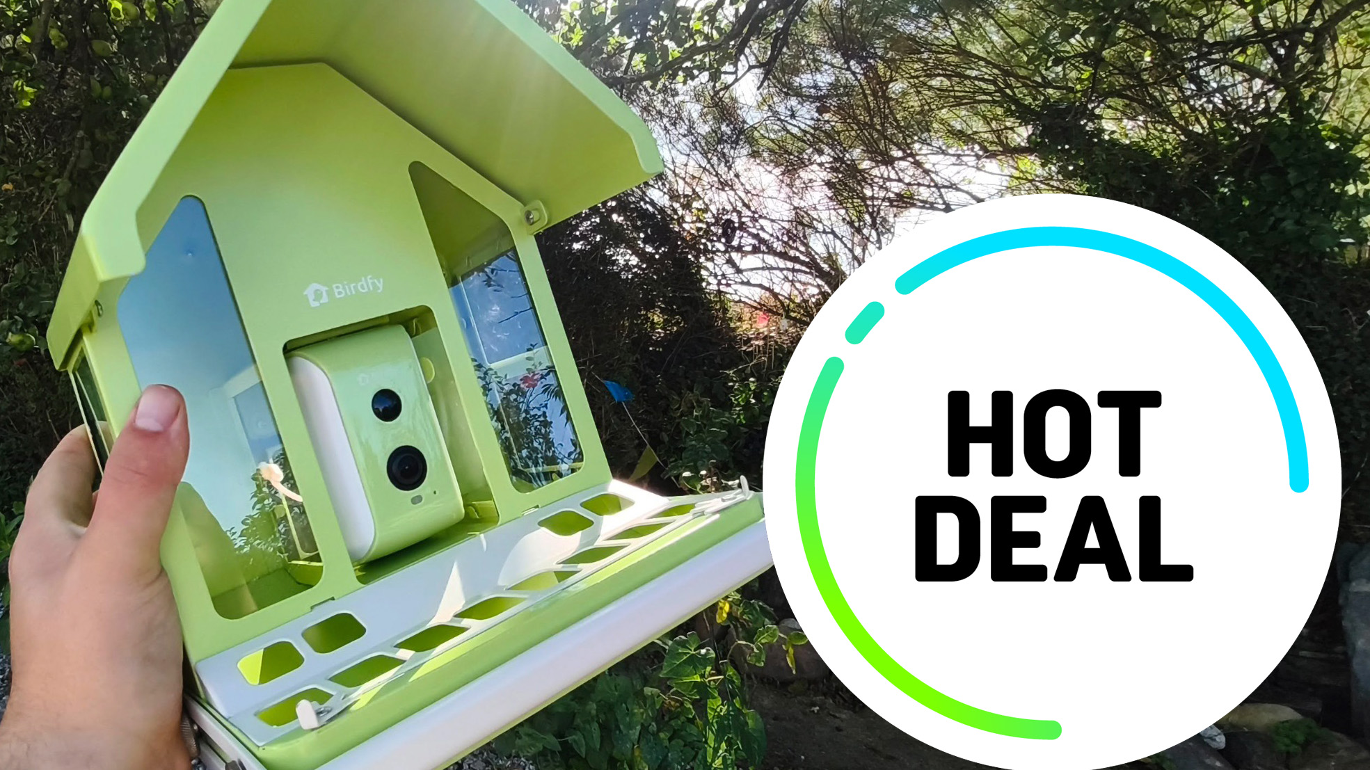 Birdwatching from the sofa? My favourite Birdfy feeder just got a brilliant Amazon deal