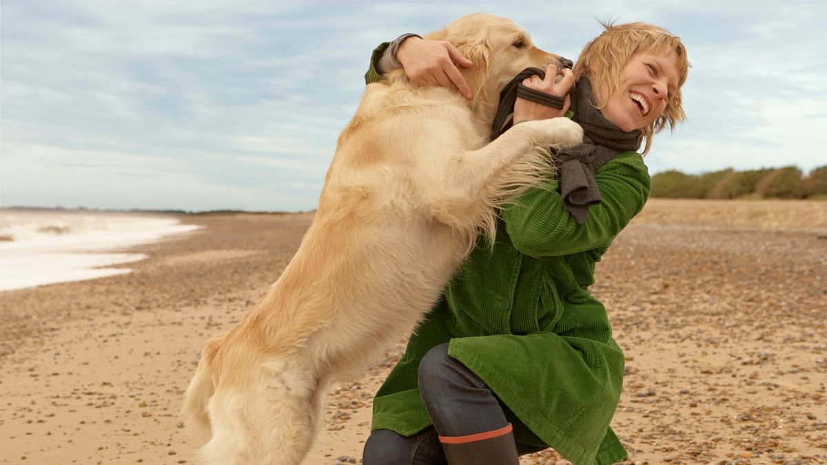 Dog jumping up on woman on the beach