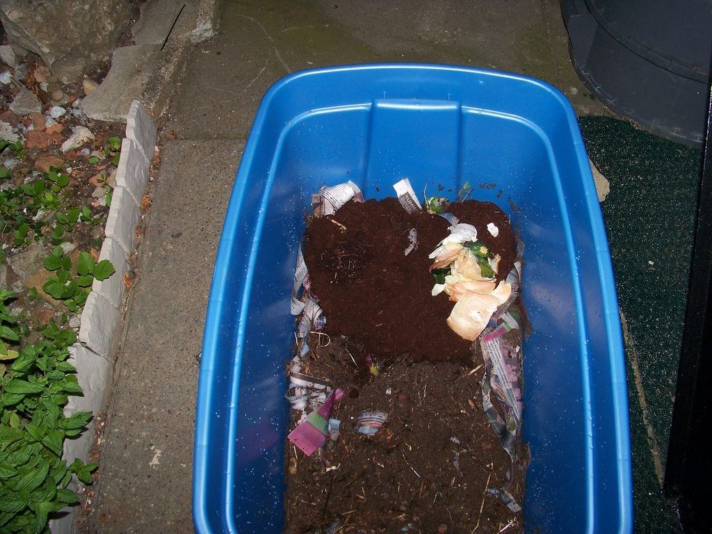 Vermicomposting Worm Bin