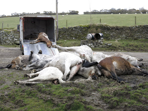 APEX_Dead_ponies_10.jpg