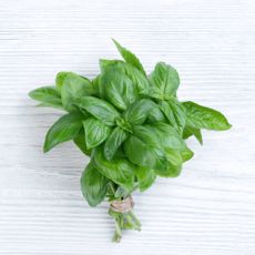 Bundle of fresh basil leaves on a white wooden background
