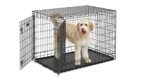 large dog crate