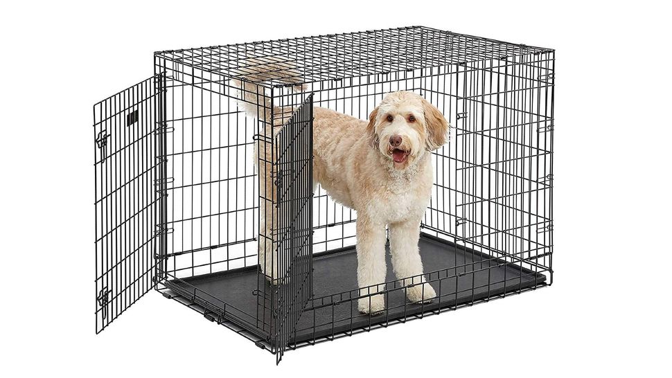 Best Dog Crates 2024 For Keeping Your Pooch Safe | PetsRadar