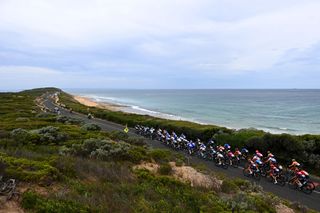 GEELONG AUSTRALIA JANUARY 28 A general view of the peloton competing in Thirteenth beach during the 7th Cadel Evans Great Ocean Road Race 2023 Womens Elite a 1408km one day race from Geelong to Geelong CadelRoadRace UCIWWT on January 28 2023 in Geelong Australia Photo by Tim de WaeleGetty Images