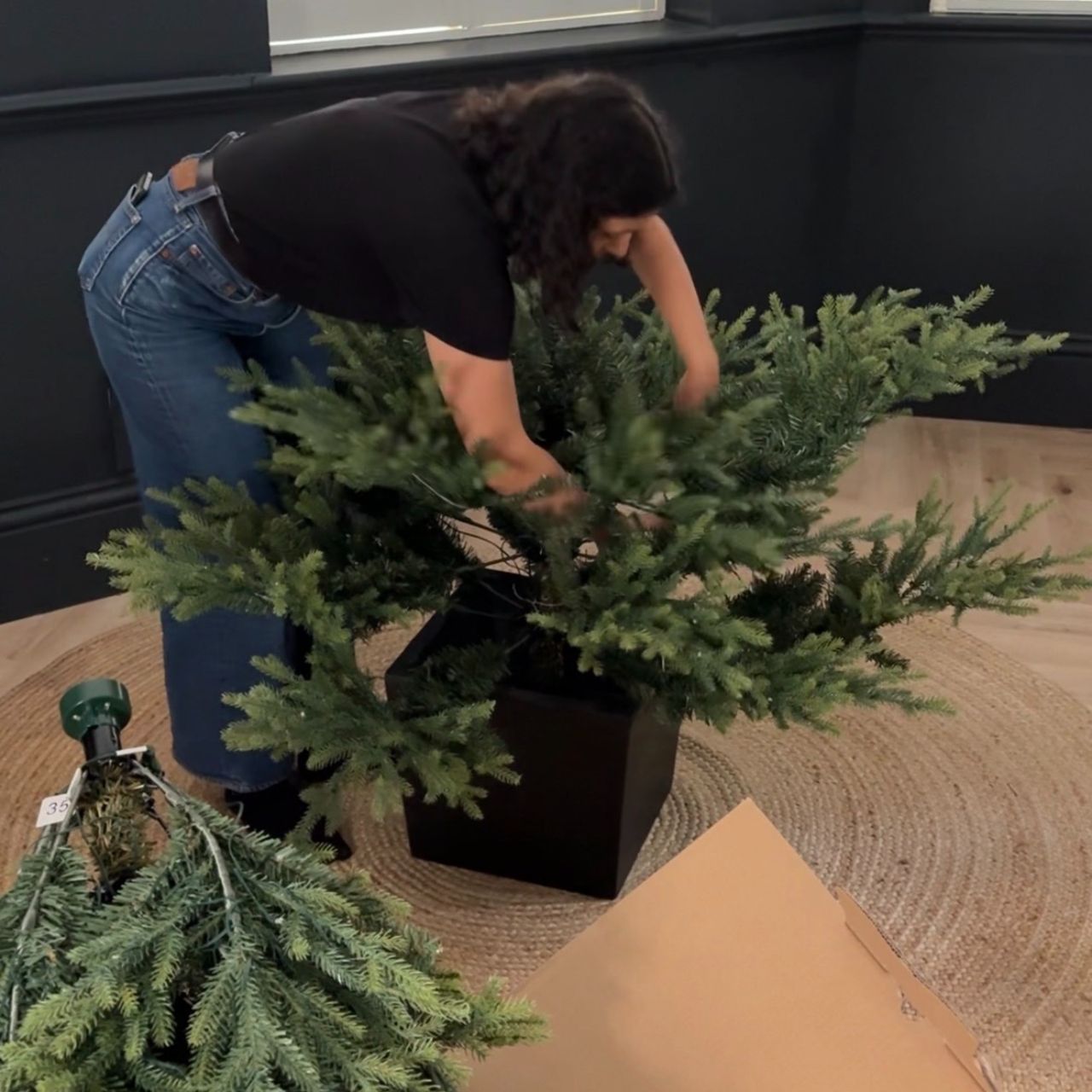 Sara Hesikova putting up the John Lewis Cotswold 7ft Potted Pre-lit Christmas Tree in a black-painted living room
