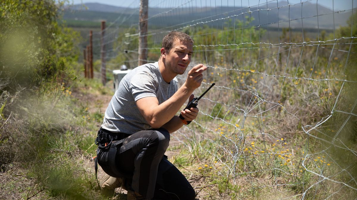 Bear Grylls on location for Netflix&#039;s interactive show Animal on the Loose: You Vs Wild.