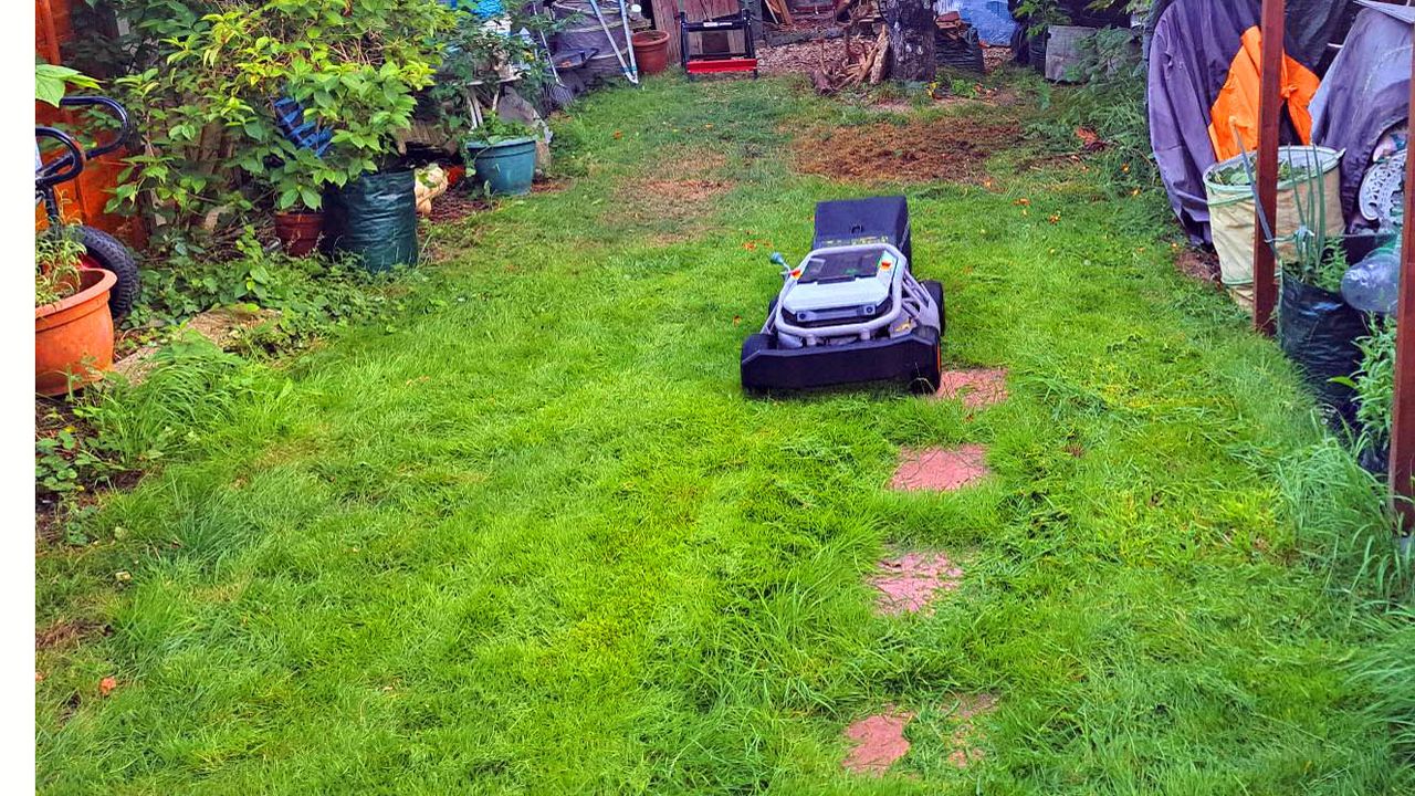 Mowrator S1 cutting grass