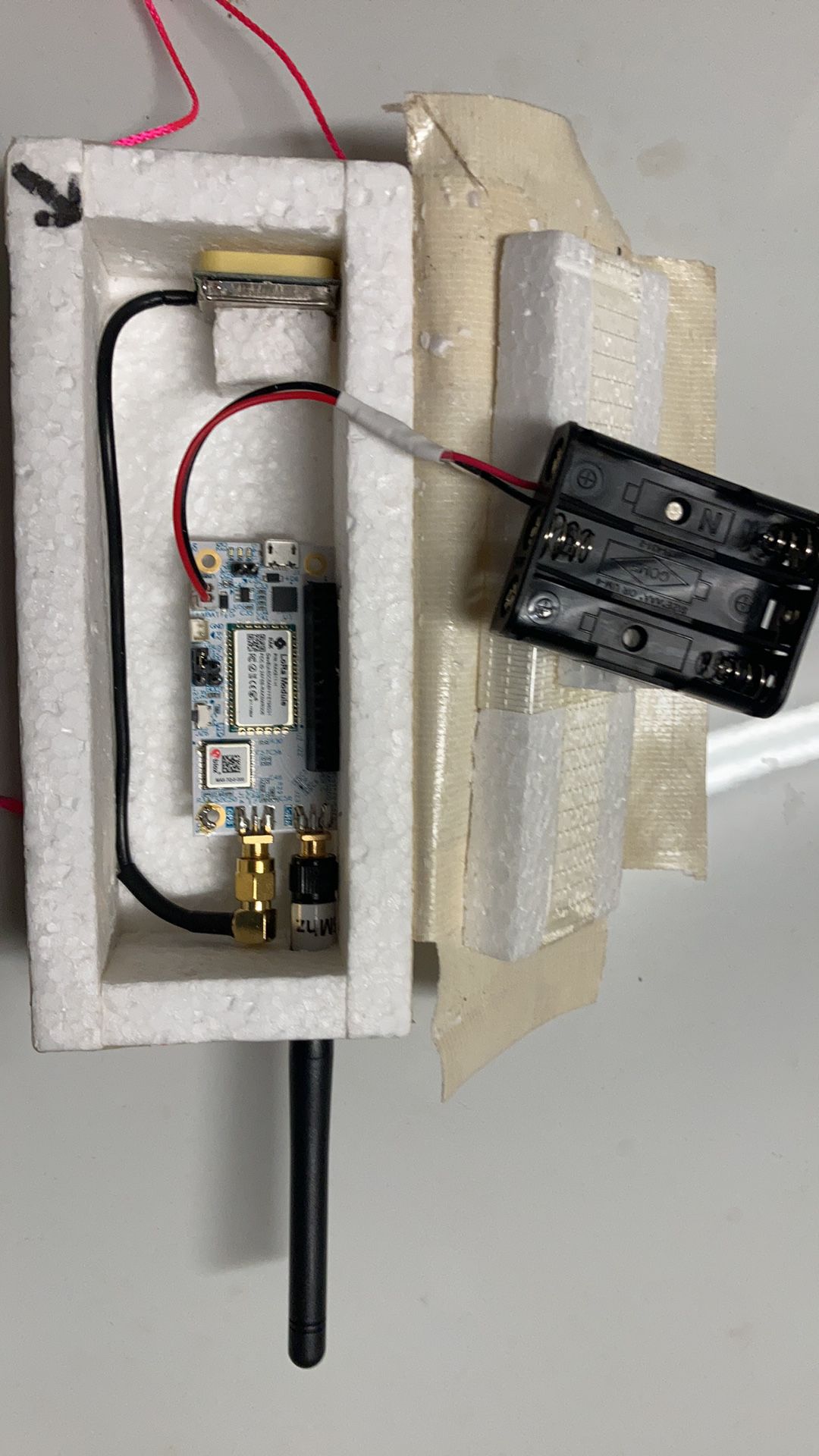 Raspberry Pi