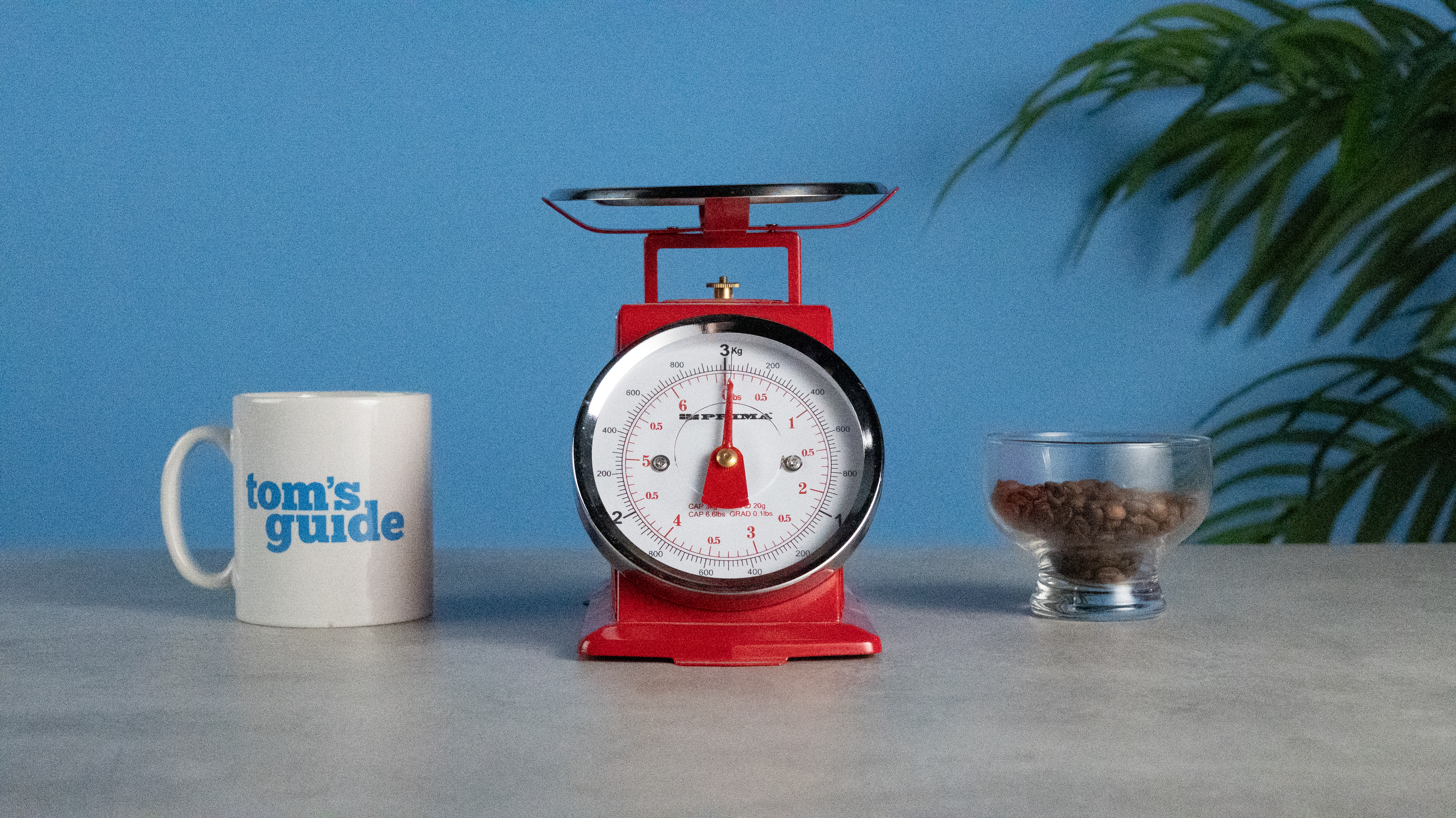 A set of red scales with a mug on the left and a glass of coffee beans on the right. Taken at ISO25600 on the Nikon Z50II.