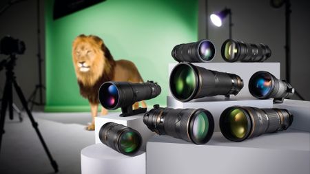 Lion in studio against green background with selection of super-telephoto lenses in the foreground 