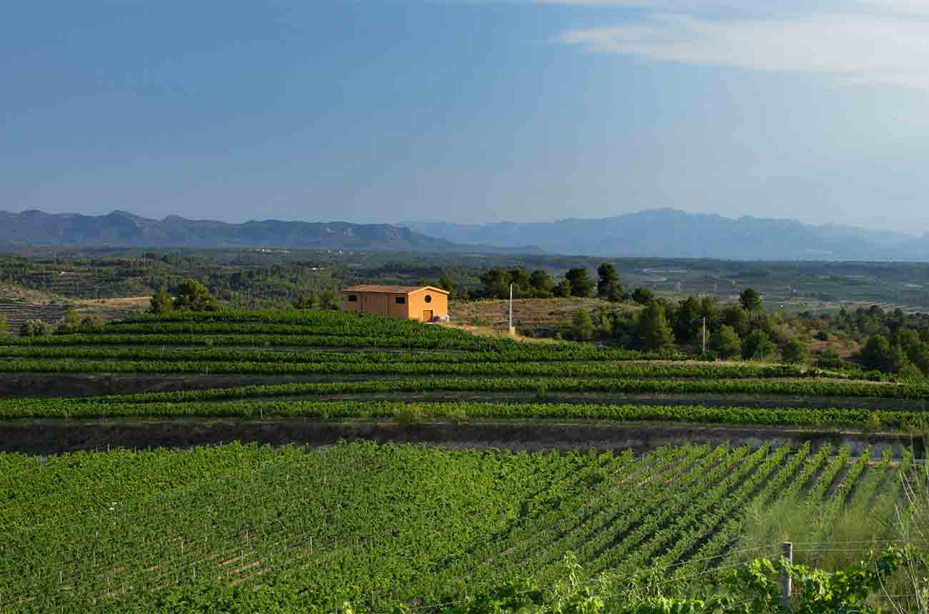 Clos Galena winery in Spain's Priorat region